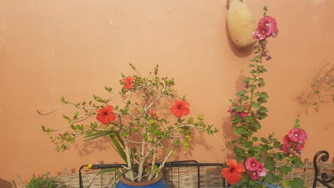 Chambres D'Hotes Les Amis Taroudant Exteriör bild