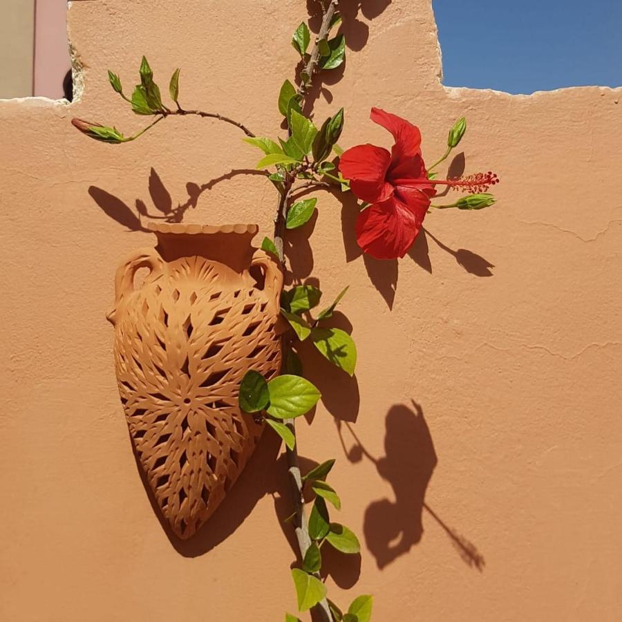 Chambres D'Hotes Les Amis Taroudant Exteriör bild